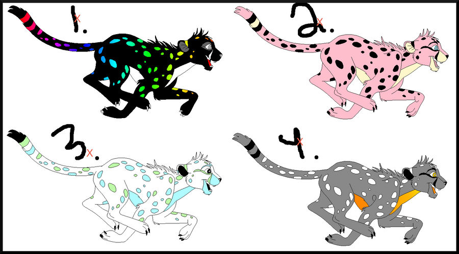 Cheetah Adopts: CLOSED