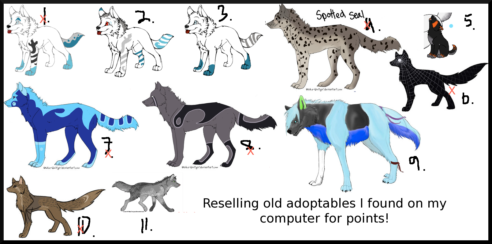 Found Canine Adoptables: CLOSED