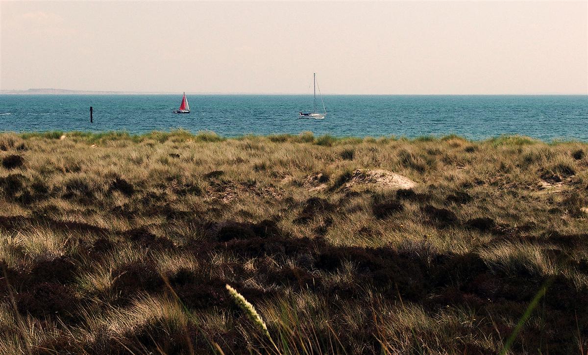 across th dunes