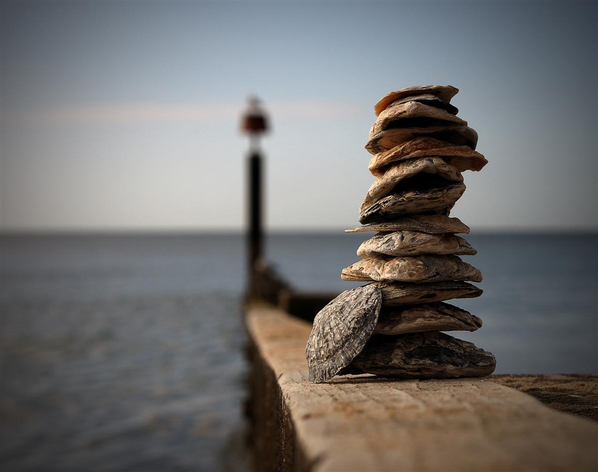 shells on groyne