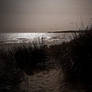 old harry through the dunes