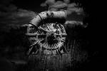 new ammonite by awjay