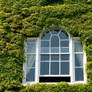 window greens 2