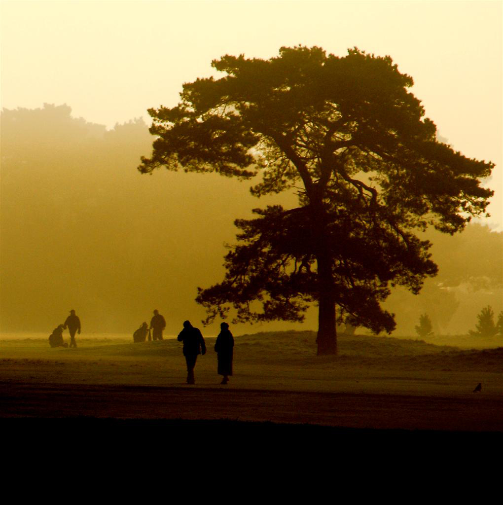 walkers on the links