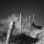 dune markers