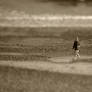 a beach walker