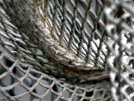 in the net by awjay