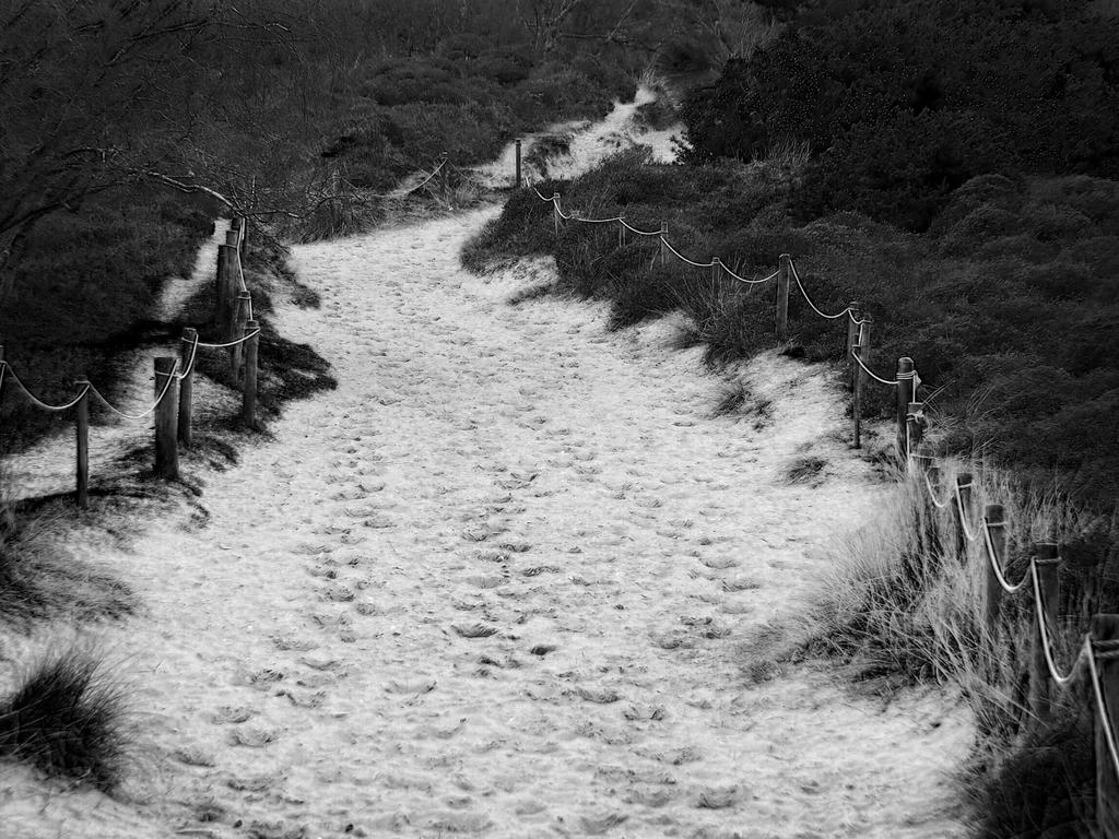 sandy path by awjay on DeviantArt