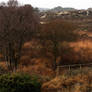 little bridge on the moor