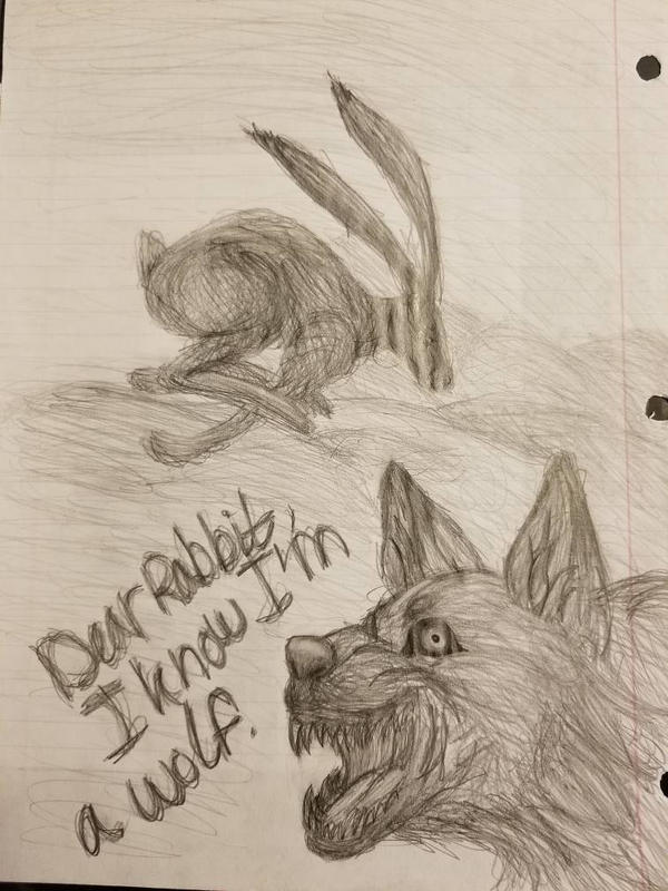 Dear Rabbit by elizdrak on DeviantArt