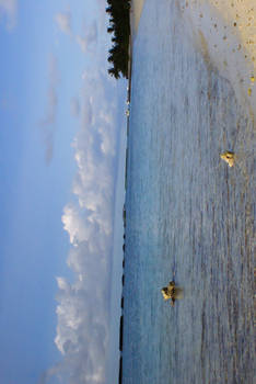 Beach and Sky