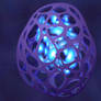 Bacteria Egg