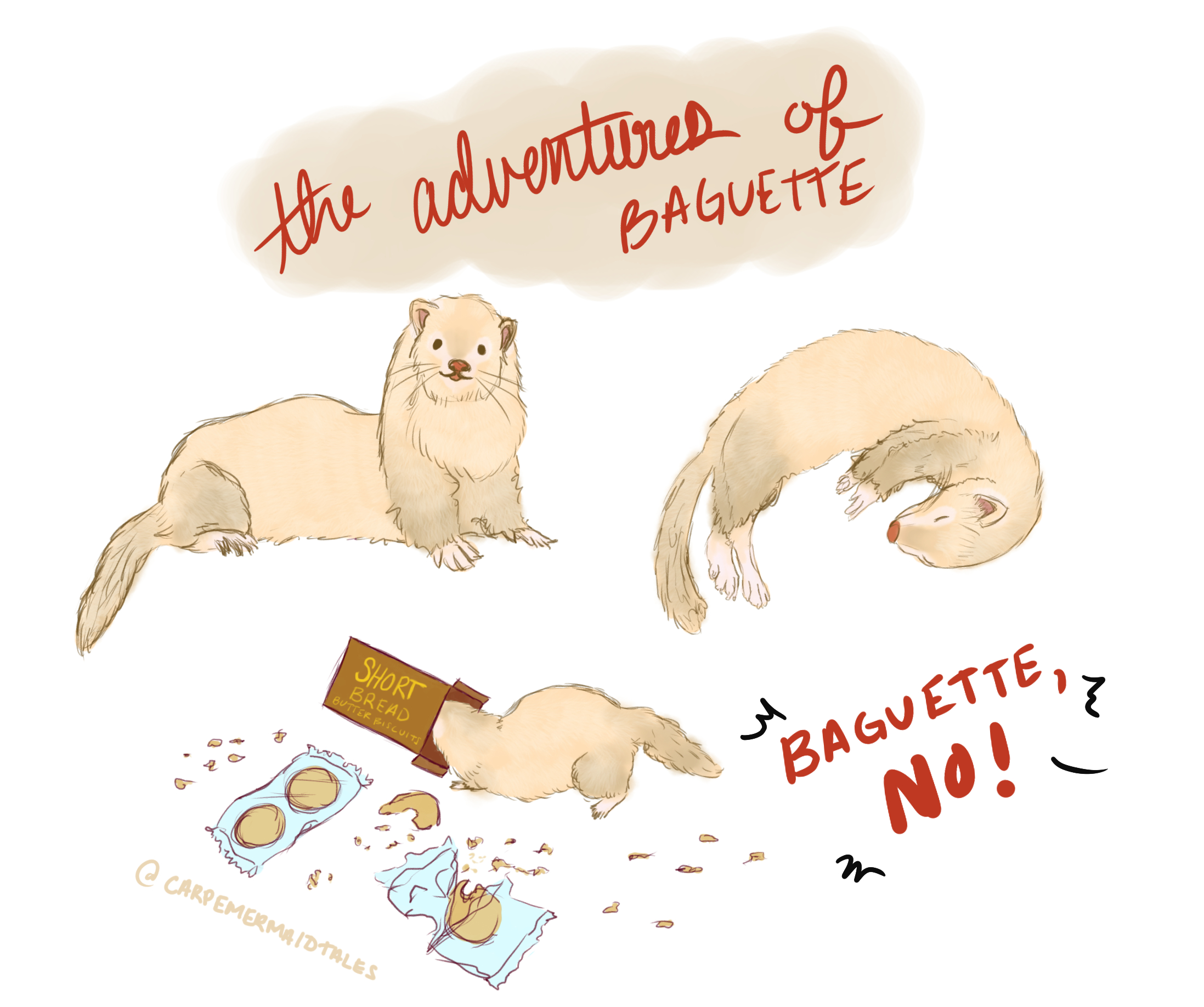 Adventures of Baguette the Ferret