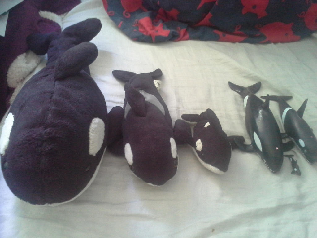 My orca Collection