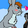 bunny love :3- love in the air