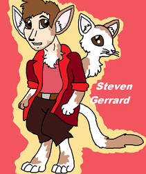 kitty Steven Gerrard