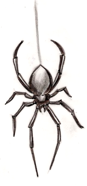 Black Widow Spider Tattoo by Metacharis on DeviantArt