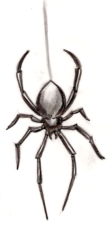 Black Widow Spider Tattoo by Metacharis on DeviantArt Black Widow Spider Tattoo by Metacharis on DeviantArt