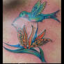 Hummingbird and Flower Tattoo