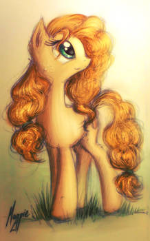 Pear Butter