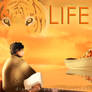 Life of Pi