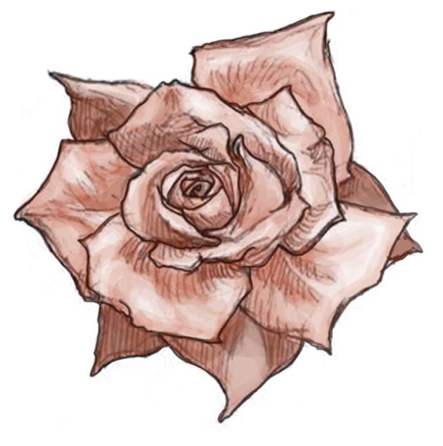 Rose Tattoo 1 :color: