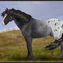 EquineChic: Spanish Mustang
