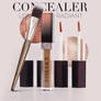 Buy Long Wear Radiant Concealer - Viseart Official