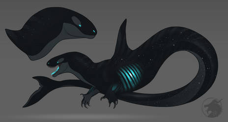 Orca Space Dragon [Dark/Transparent Form]