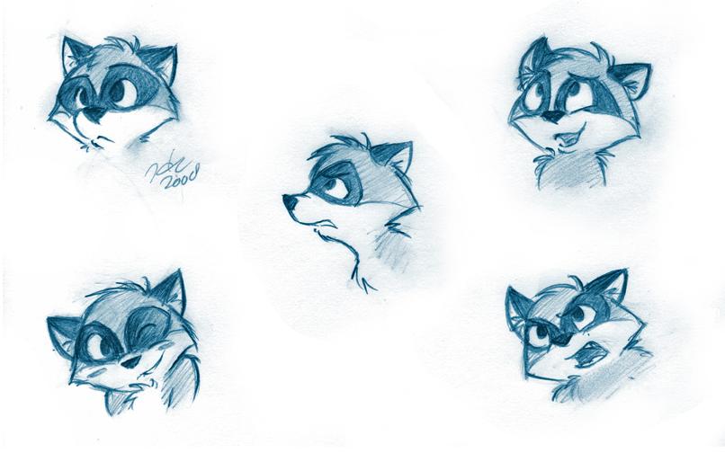 Raccoon Faces