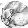 Sleeping Wolf Cub