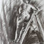 Ladder