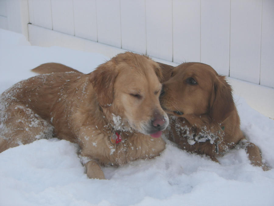 Let Me Get That Snow Out of Your Ear