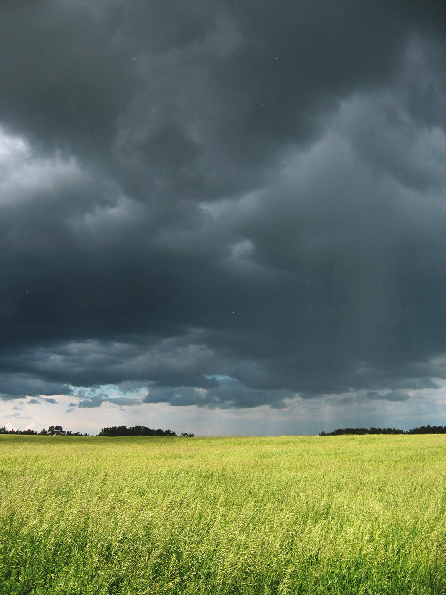 It's raining in Saskatchewan