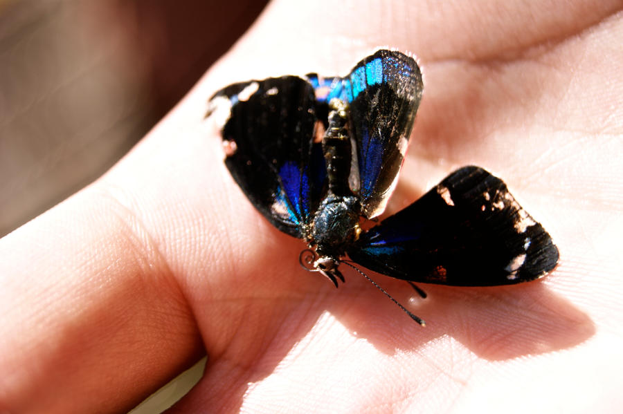 Ange envole by otch0z on DeviantArt