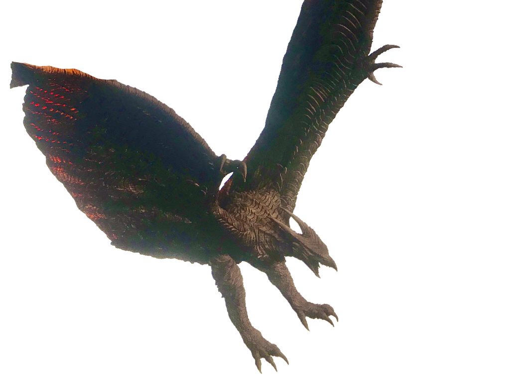 Legendary Rodan Deviantart Legendary Rodan Transparent Ver 11 by Lincolnlover1865 on DeviantArt