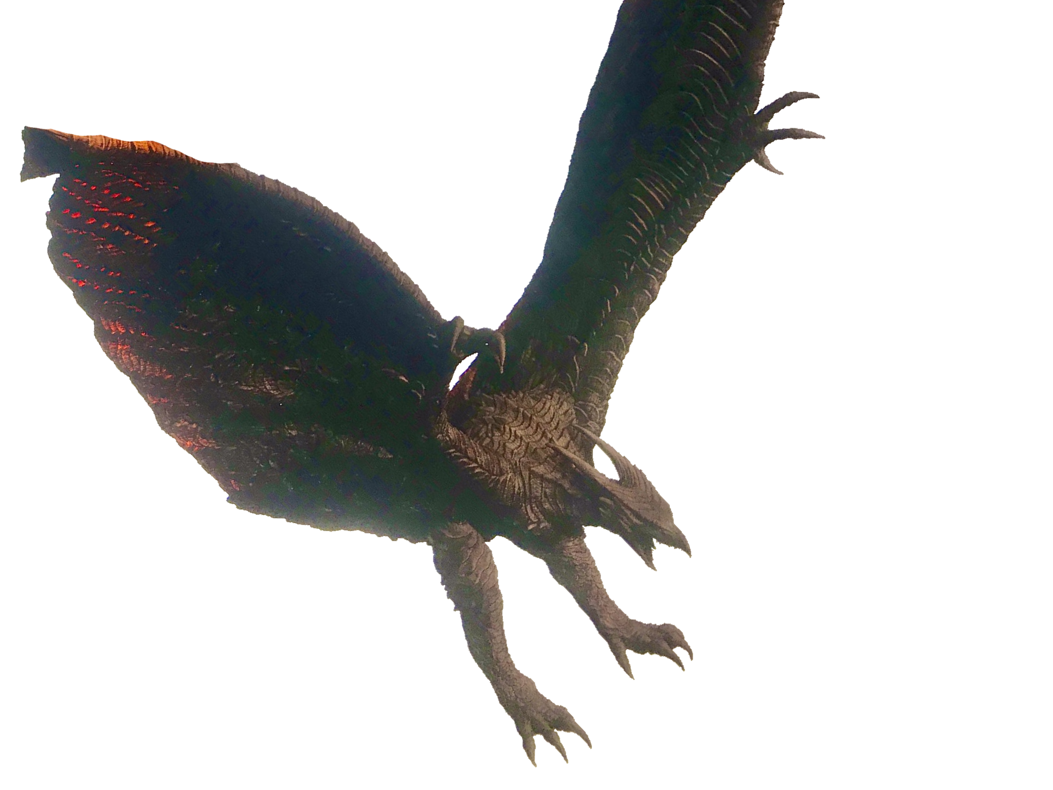 Legendary Rodan Transparent Ver 11 by Lincolnlover1865 on DeviantArt
