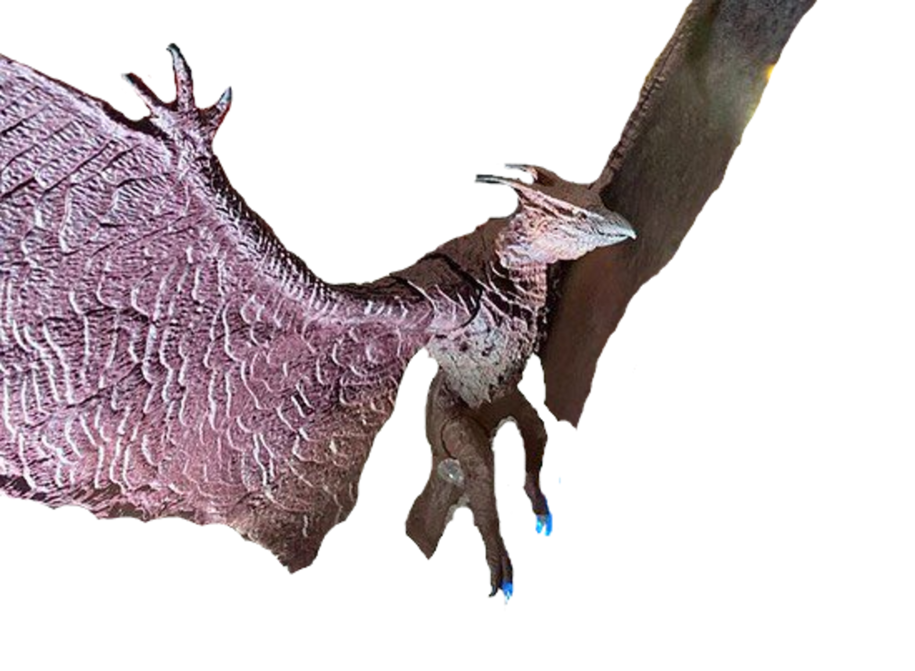 Legendary Rodan Deviantart Legendary Rodan Transparent Ver 18 by Lincolnlover1865 on DeviantArt