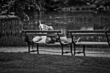 Taking a break on a park bench