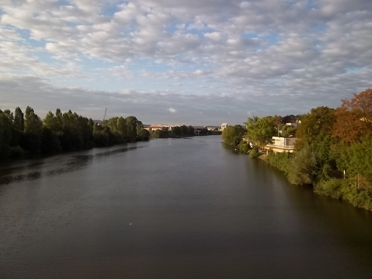 Neckar am Morgen...