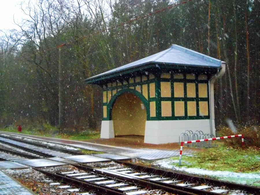 Tram Shelter