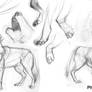 Animal Sketchbook: Wolves 01