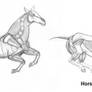 Animal Anatomy: Horse 02