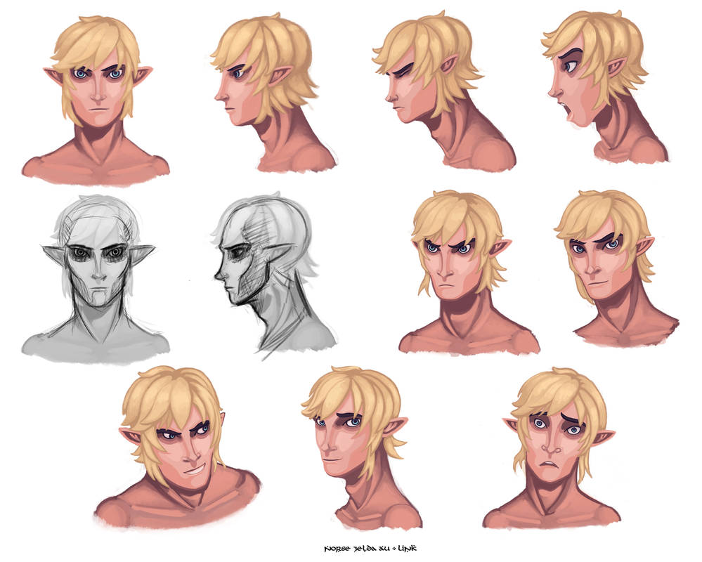 Deviantart Link Model Link Model Sheet - Head by 89ravenclaw on DeviantArt