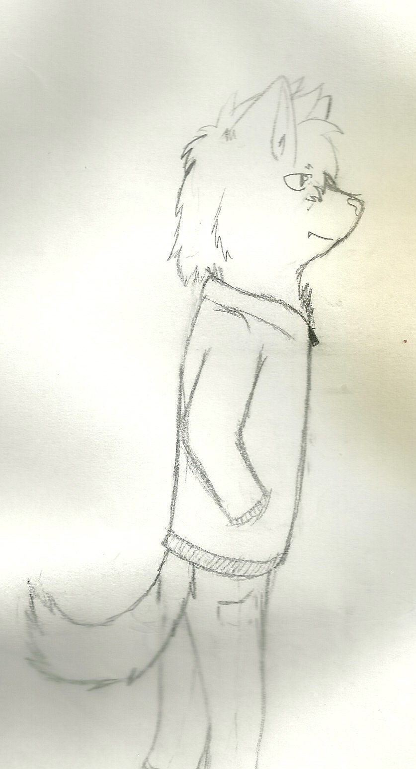 Anime wolf...human...hybrid by wolftail1999 on DeviantArt Anime wolf...human...hybrid by wolftail1999 on DeviantArt