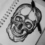 Skull Sketch, pen- age 24