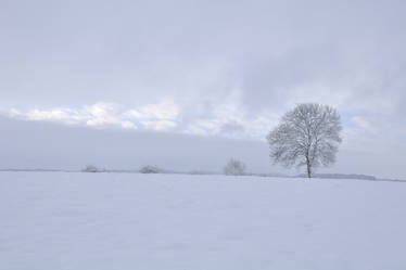 Marvellously snowy