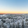 Finnish Winter Landscape