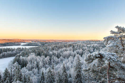 Finnish Winter Landscape