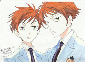 Hitachiin twins